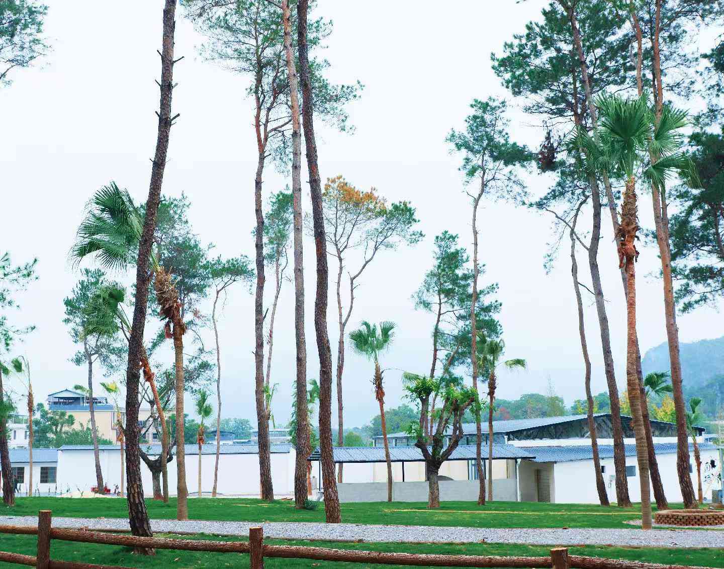 望野露营基地 - 图片2