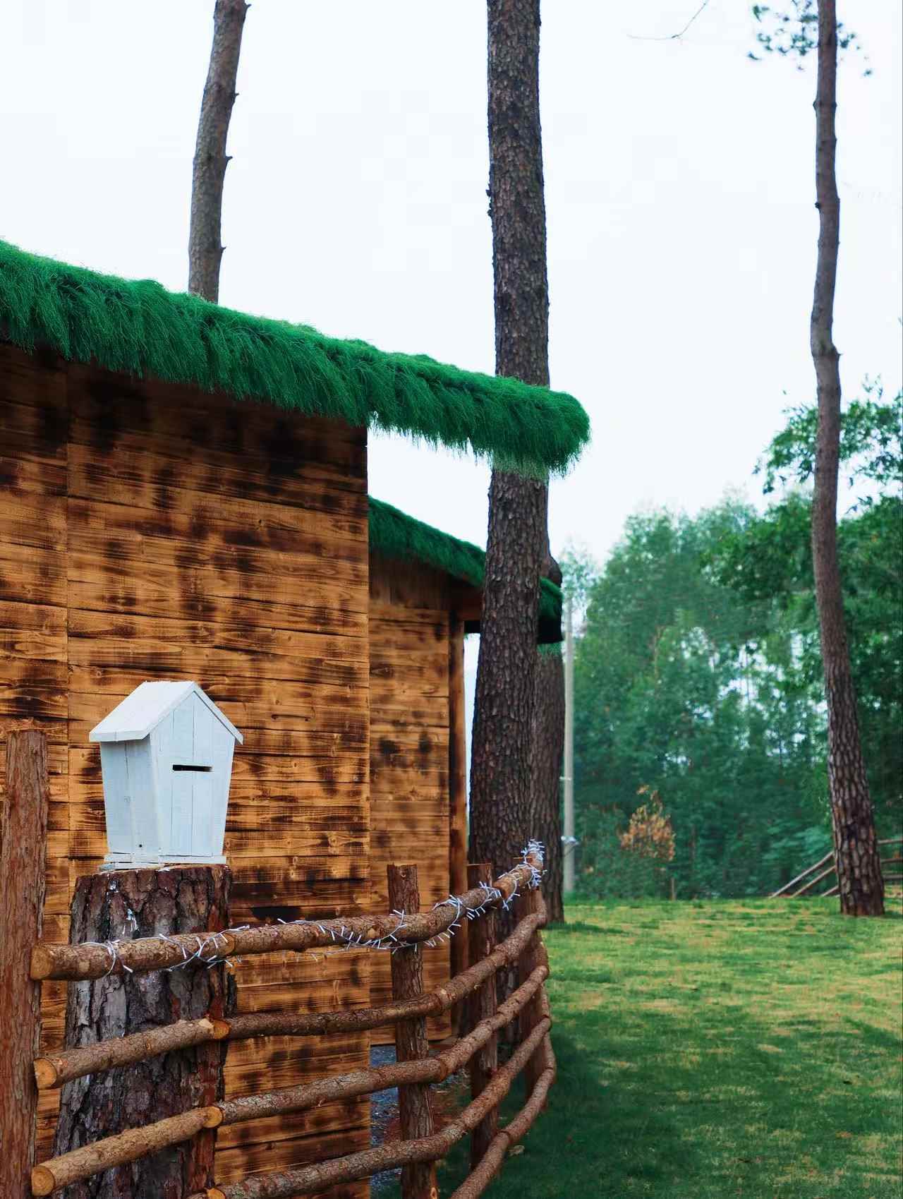 望野露营基地 - 图片3