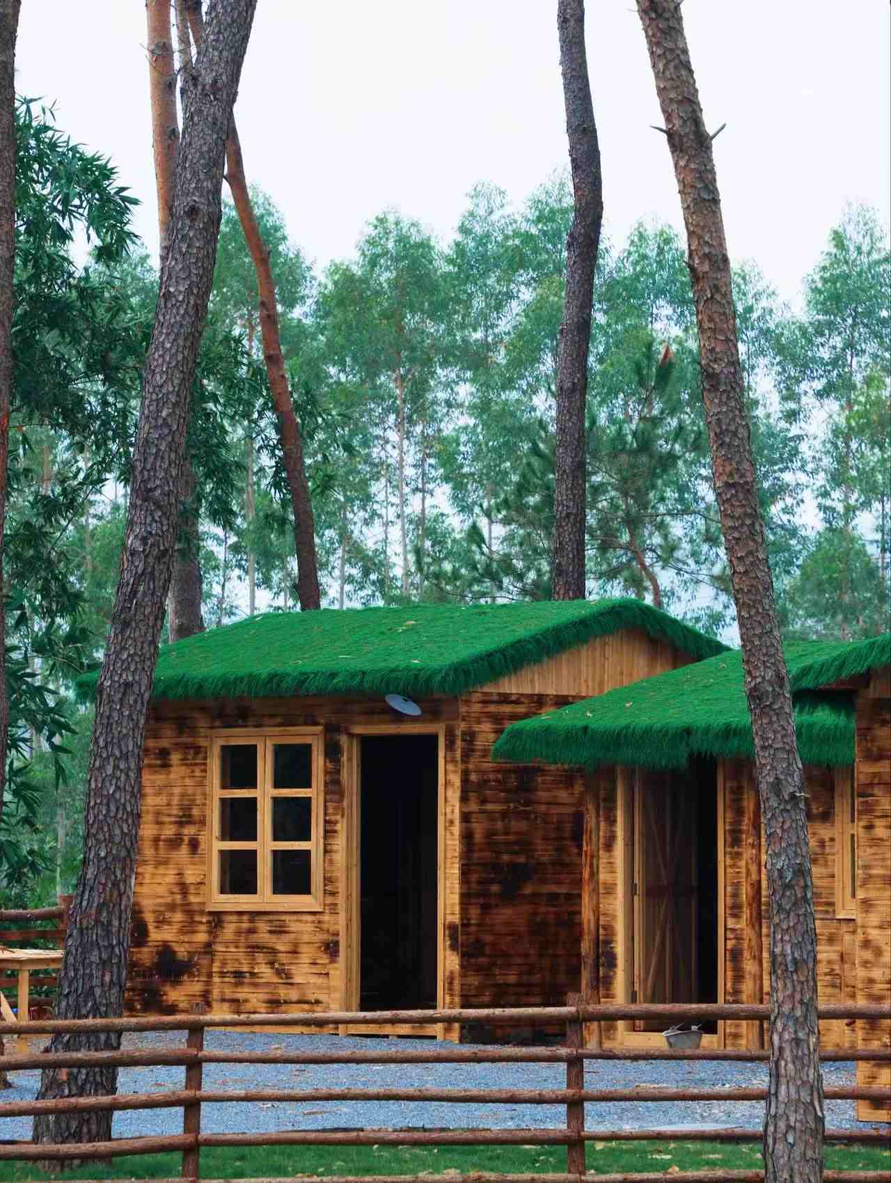 望野露营基地 - 图片4