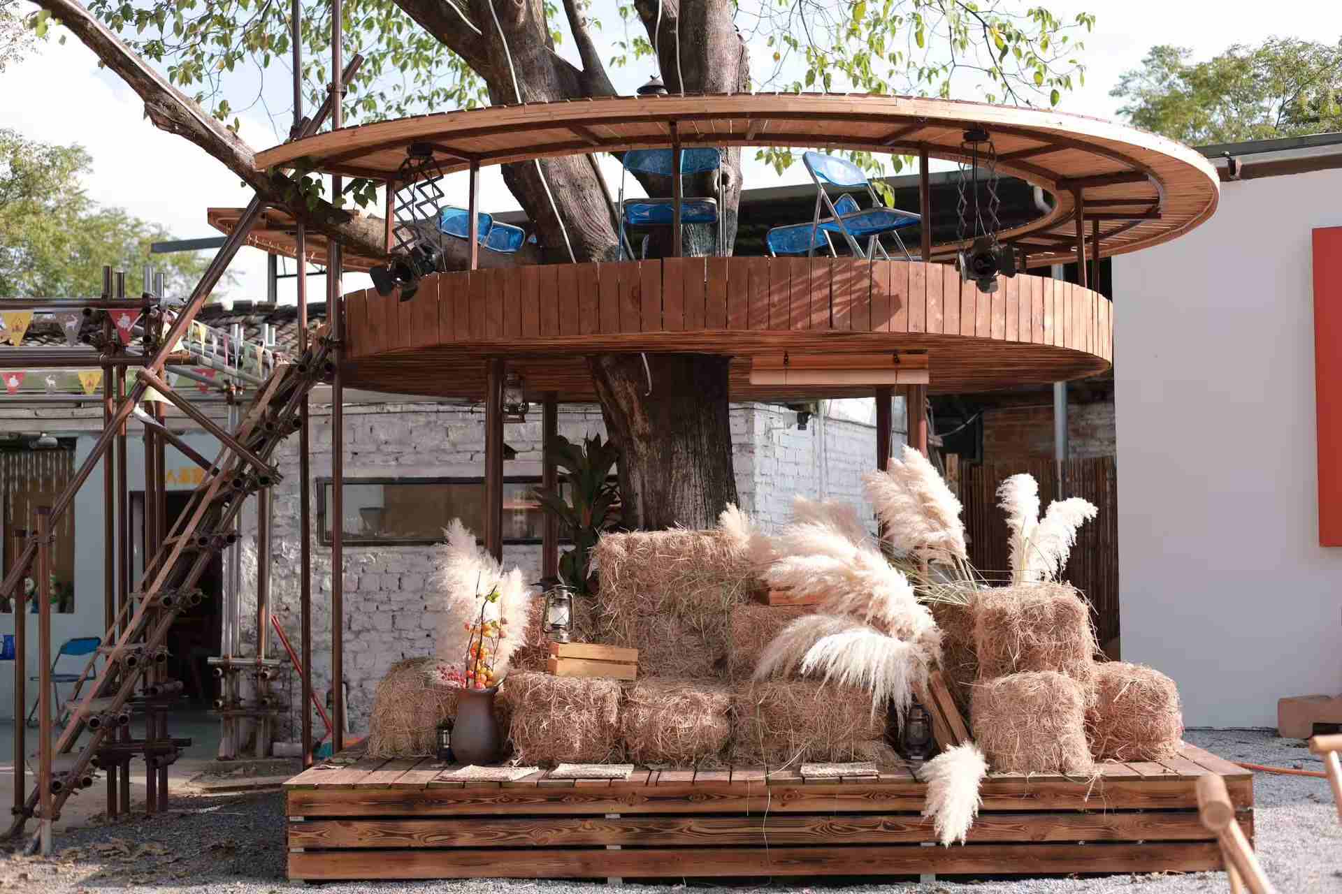 几人小院 - 图片2