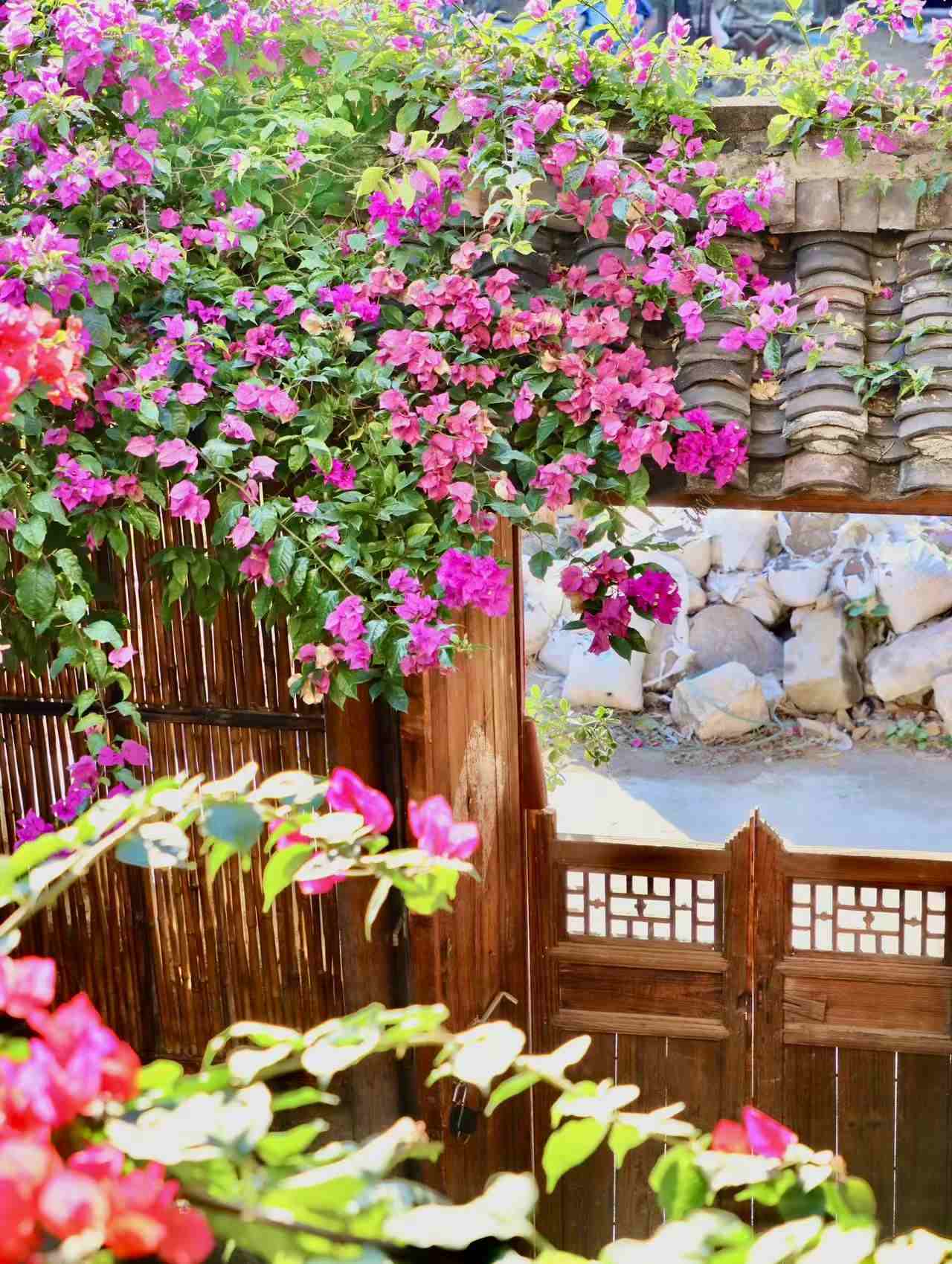 冷家村艺术集落 - 图片2