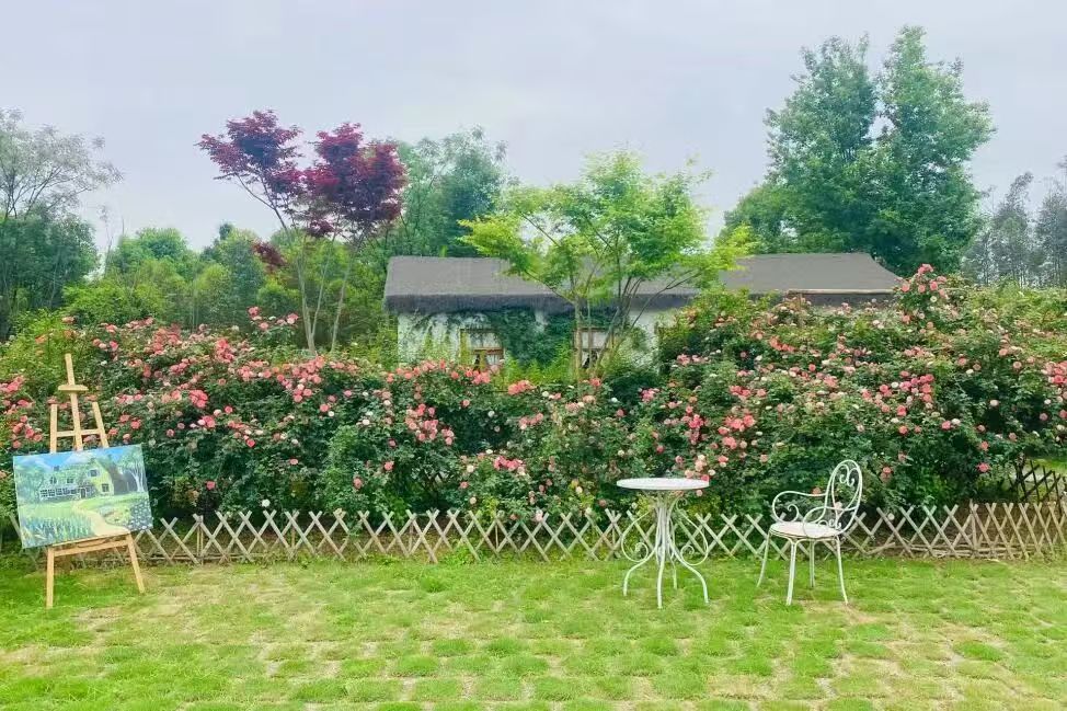 哈尼花园 - 图片2