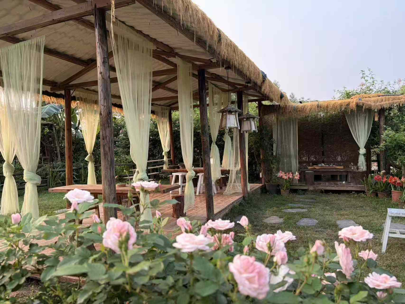 哈尼花园 - 图片3