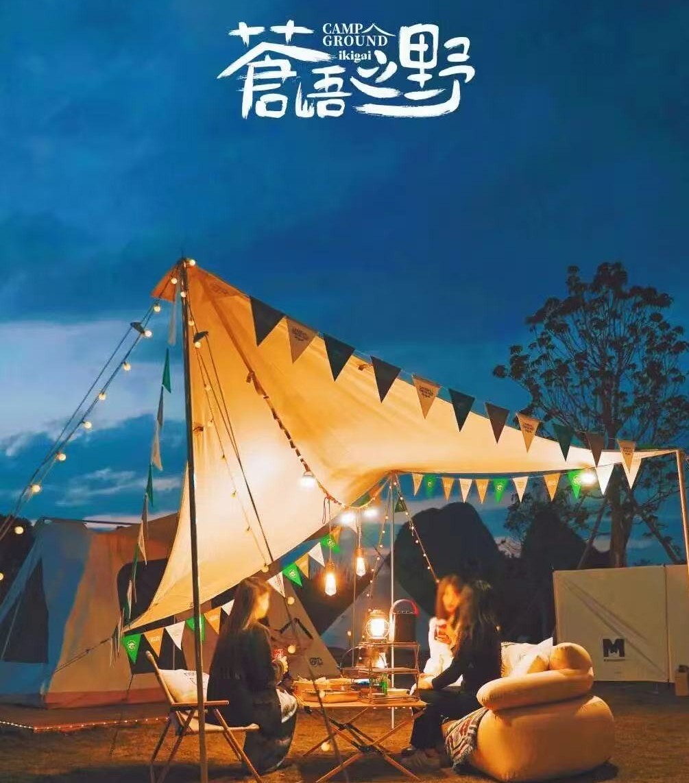 桂海晴岚 - 图片3