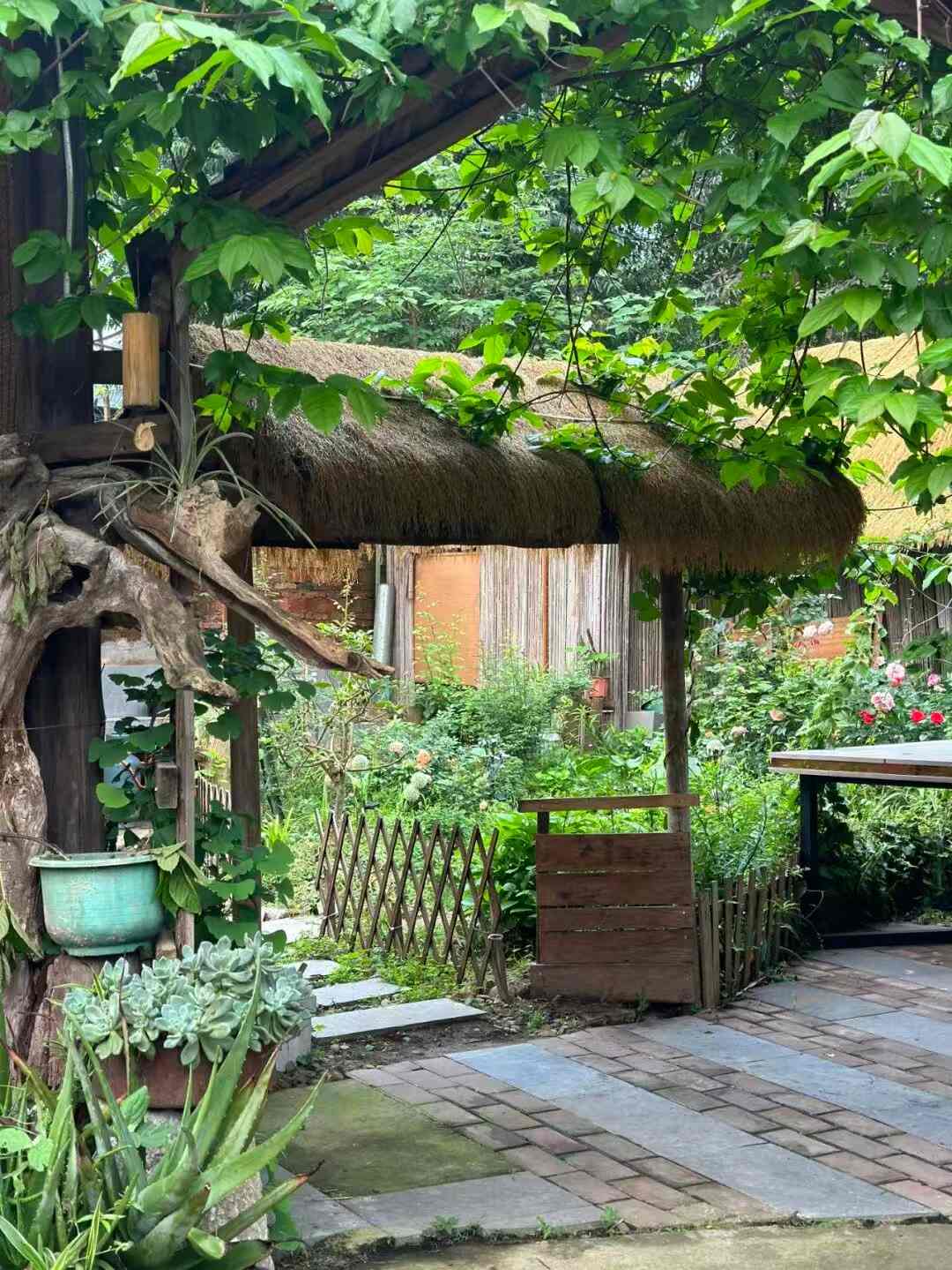 泥巴小院 - 图片2